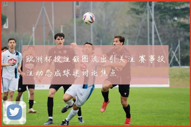 欧洲杯投注截图流出引关注 赛事投注动态成球迷讨论焦点
