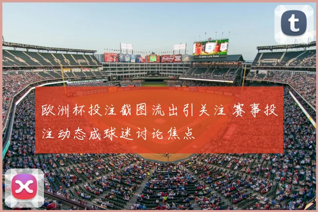 欧洲杯投注截图流出引关注 赛事投注动态成球迷讨论焦点