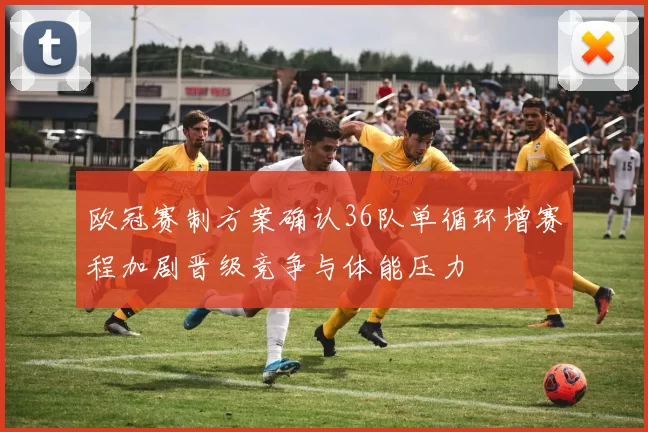 欧冠赛制方案确认36队单循环增赛程加剧晋级竞争与体能压力