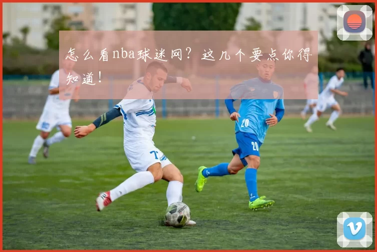 怎么看nba球迷网？这几个要点你得知道！